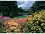 Pruhonice Park in bloom
