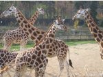 ZOO Prague