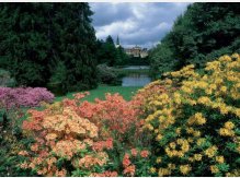 Beautiful Pruhonice park in bloom