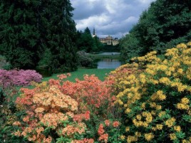 Beautiful Pruhonice park in bloom